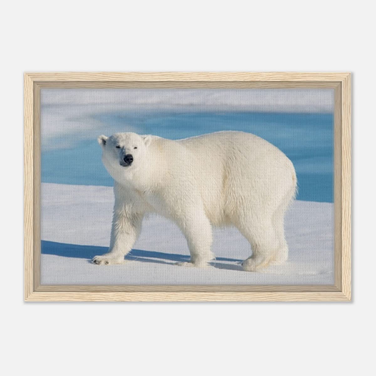 Animal Kingdom Wall art print collection | Polar bear - Framed Canvas - 30x45 cm / 12x18″ - Wood frame