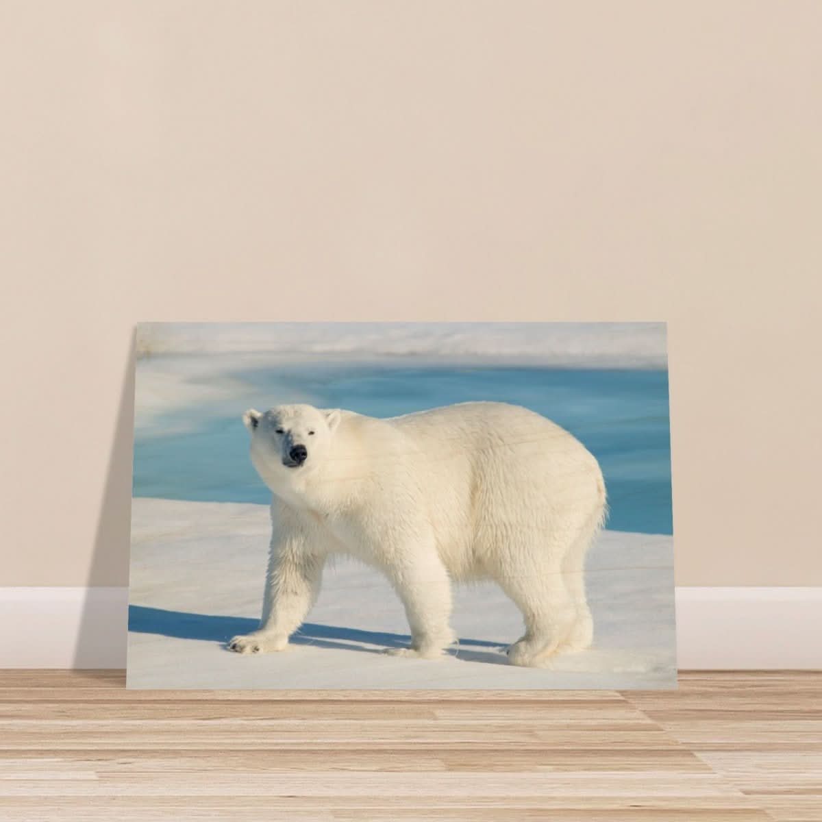 Animal Kingdom Wall art print collection | Polar bear - Wood Prints - 60x90 cm / 24x36″ -