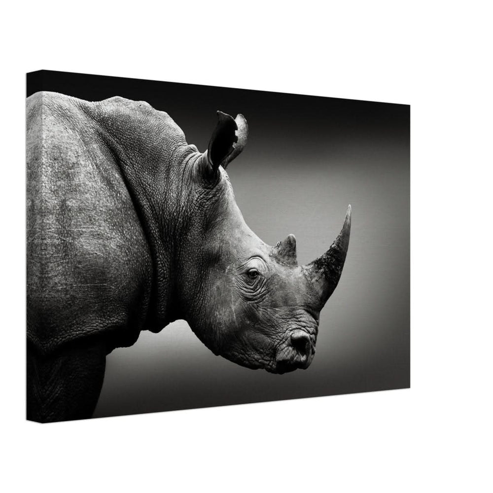 Animal Kingdom Wall art print collection | rhino - Canvas - 30x45 cm / 12x18″ -