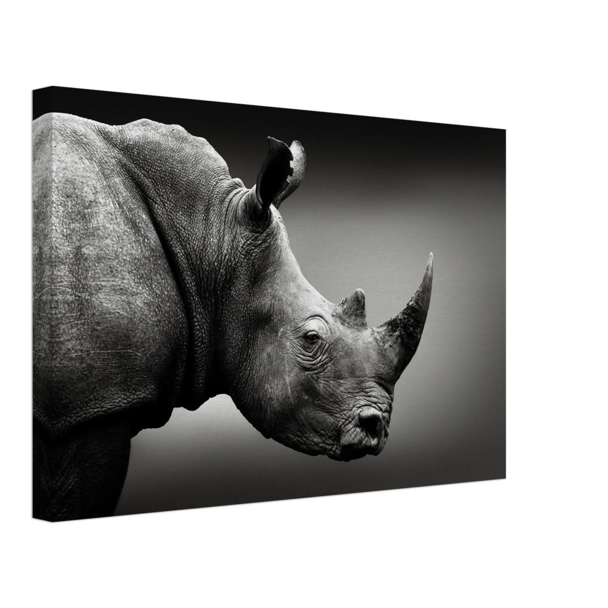 Animal Kingdom Wall art print collection | rhino - Canvas - 30x45 cm / 12x18″ -