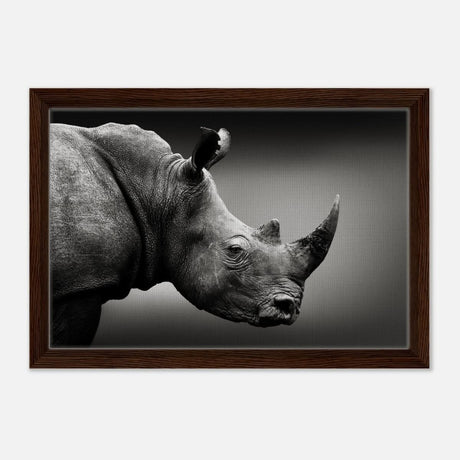 Animal Kingdom Wall art print collection | rhino - Framed Canvas - 30x45 cm / 12x18″ - Dark wood frame