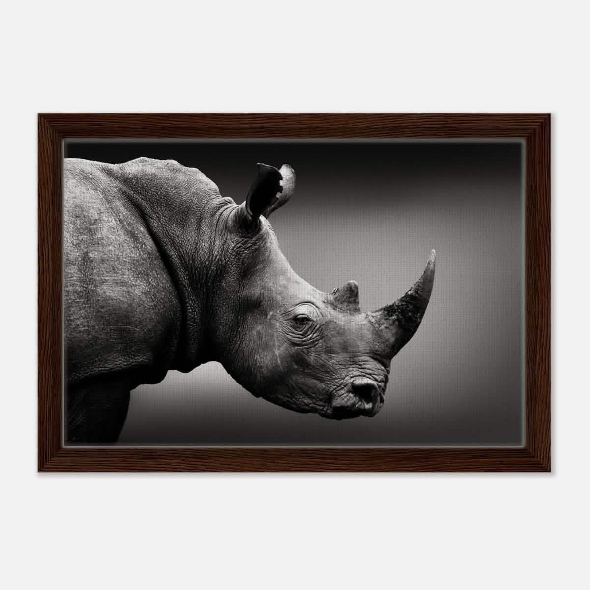 Animal Kingdom Wall art print collection | rhino - Framed Canvas - 30x45 cm / 12x18″ - Dark wood frame