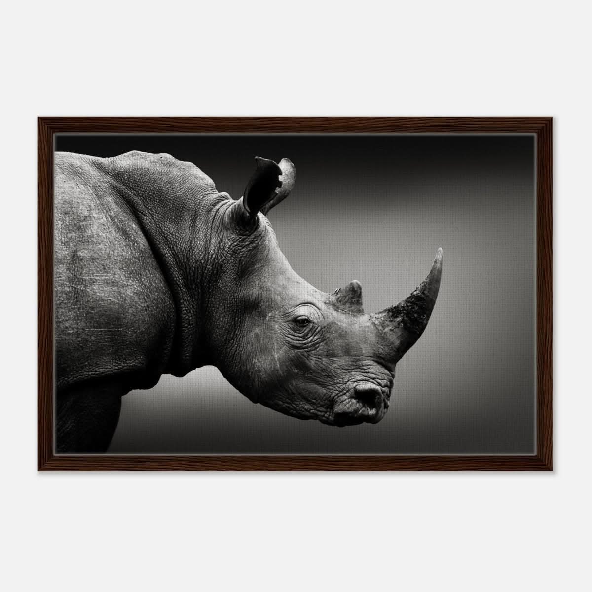 Animal Kingdom Wall art print collection | rhino - Framed Canvas - 50x75 cm / 20x30″ - Dark wood frame