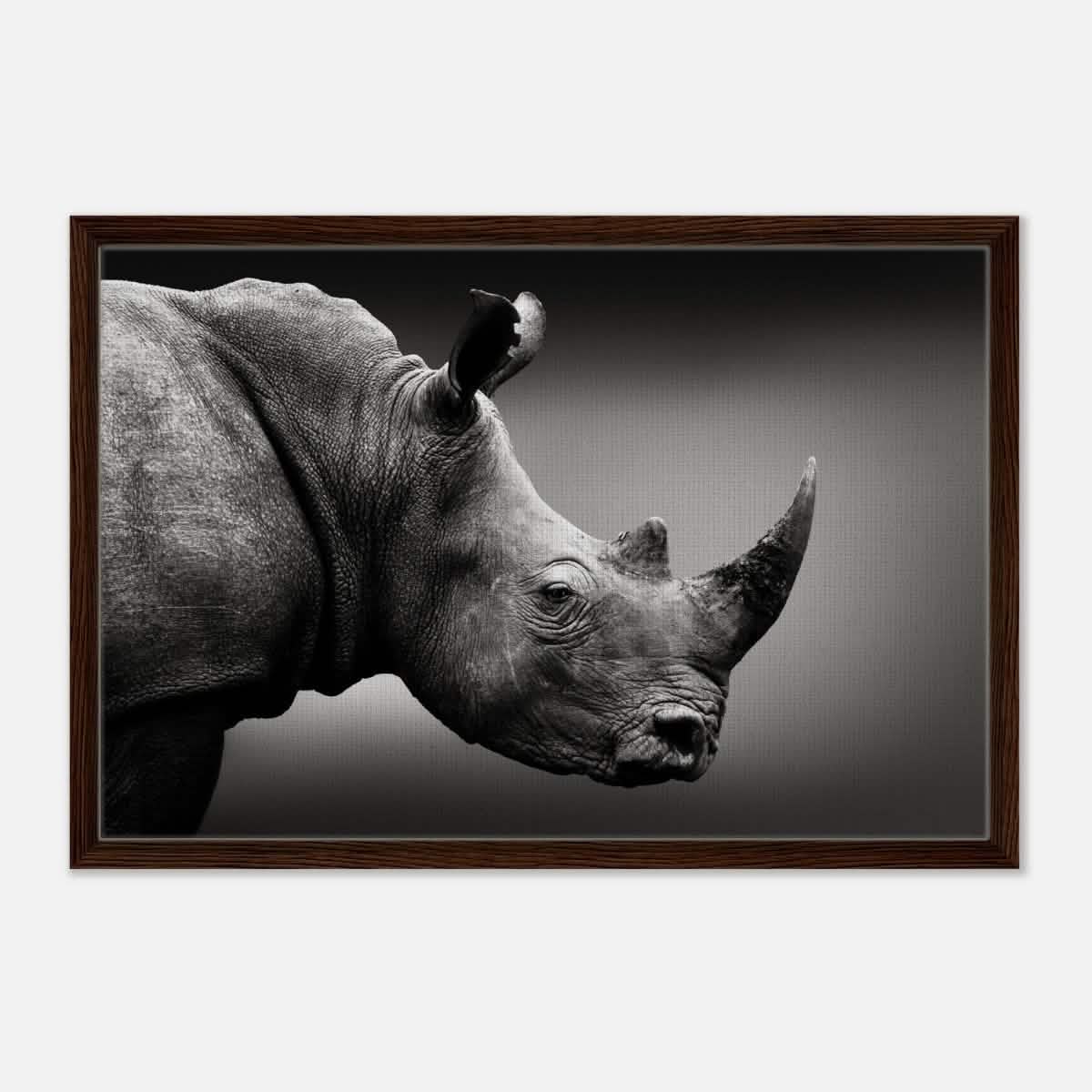 Animal Kingdom Wall art print collection | rhino - Framed Canvas - 50x75 cm / 20x30″ - Dark wood frame