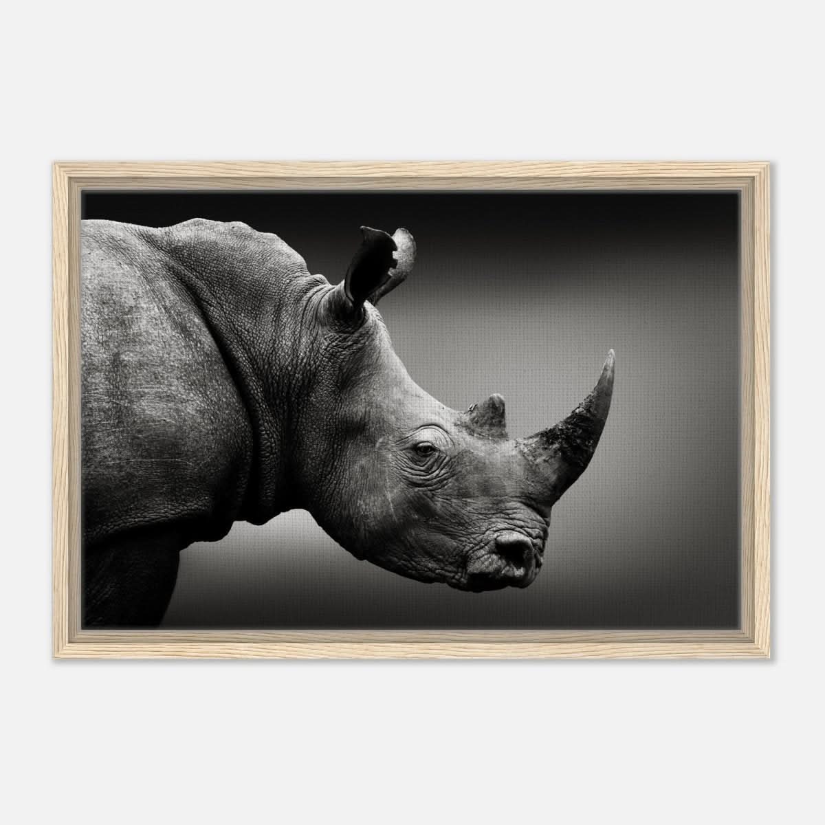 Animal Kingdom Wall art print collection | rhino - Framed Canvas - 40x60 cm / 16x24″ - Wood frame