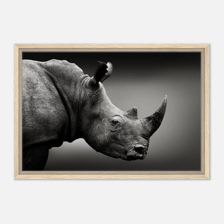Animal Kingdom Wall art print collection | rhino - Framed Canvas - 40x60 cm / 16x24″ - Wood frame