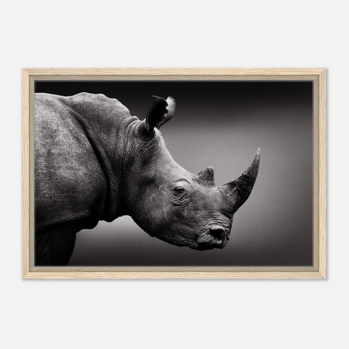 Animal Kingdom Wall art print collection | rhino - Framed Canvas - 40x60 cm / 16x24″ - Wood frame