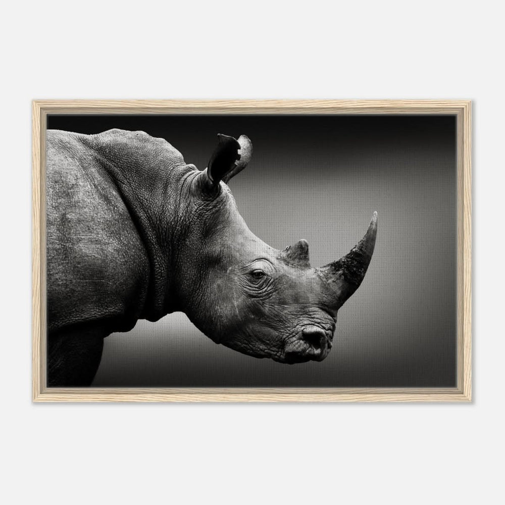Animal Kingdom Wall art print collection | rhino - Framed Canvas - 50x75 cm / 20x30″ - Wood frame