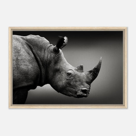 Animal Kingdom Wall art print collection | rhino - Framed Canvas - 50x75 cm / 20x30″ - Wood frame