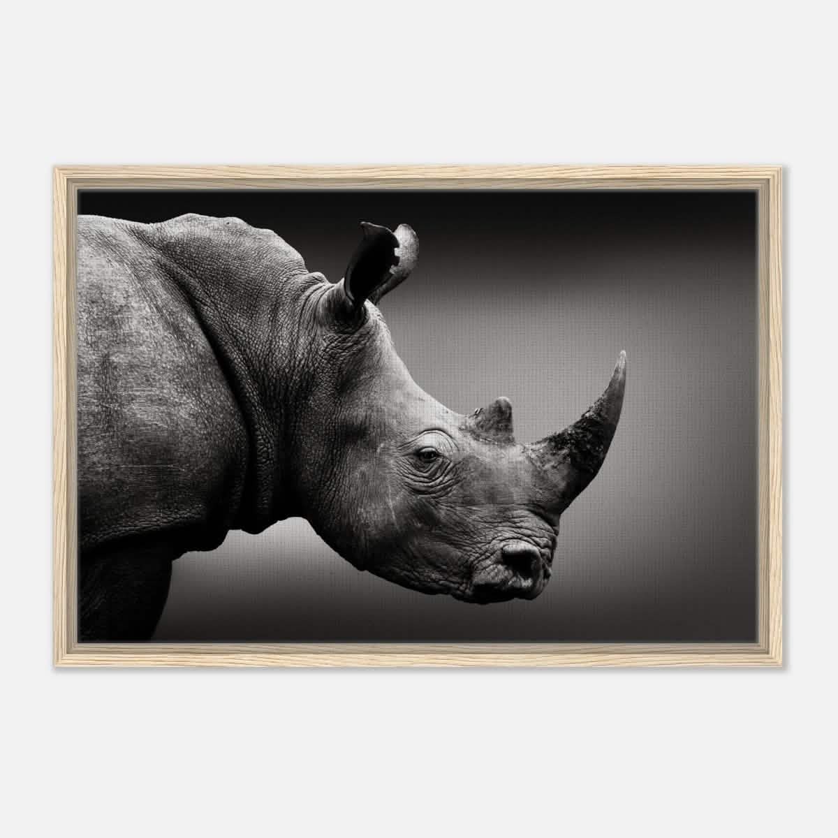 Animal Kingdom Wall art print collection | rhino - Framed Canvas - 50x75 cm / 20x30″ - Wood frame