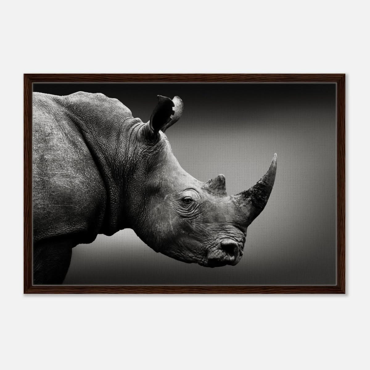 Animal Kingdom Wall art print collection | rhino - Framed Canvas - 60x90 cm / 24x36″ - Dark wood frame