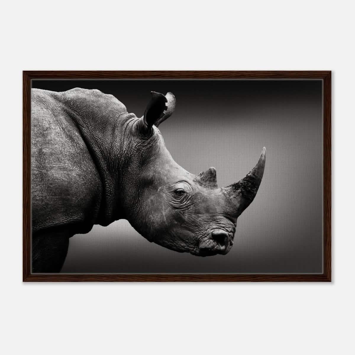 Animal Kingdom Wall art print collection | rhino - Framed Canvas - 60x90 cm / 24x36″ - Dark wood frame