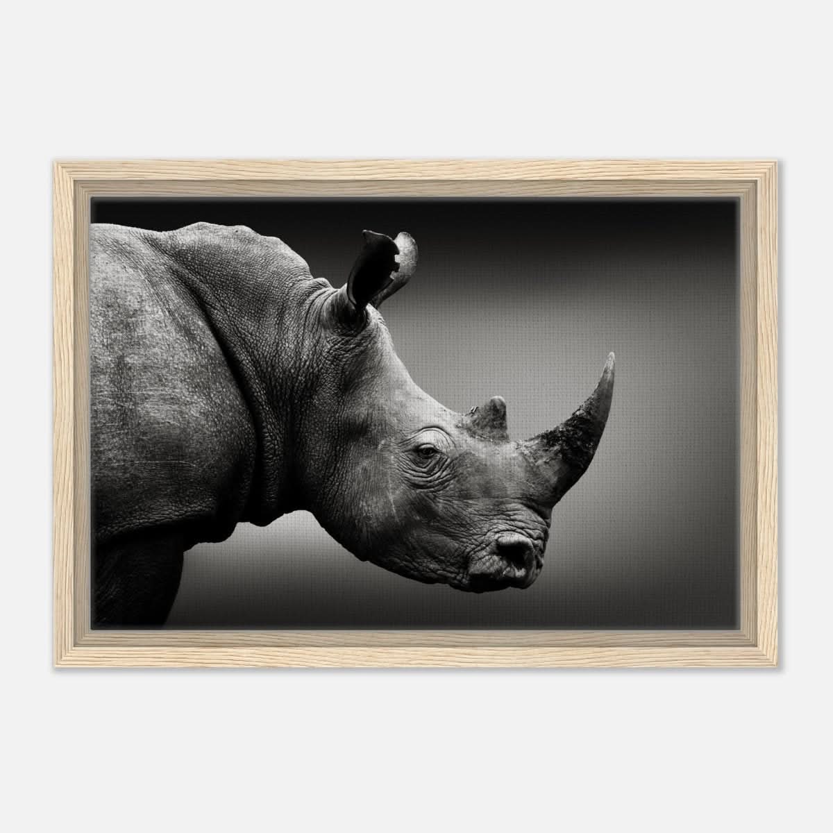 Animal Kingdom Wall art print collection | rhino - Framed Canvas - 30x45 cm / 12x18″ - Wood frame