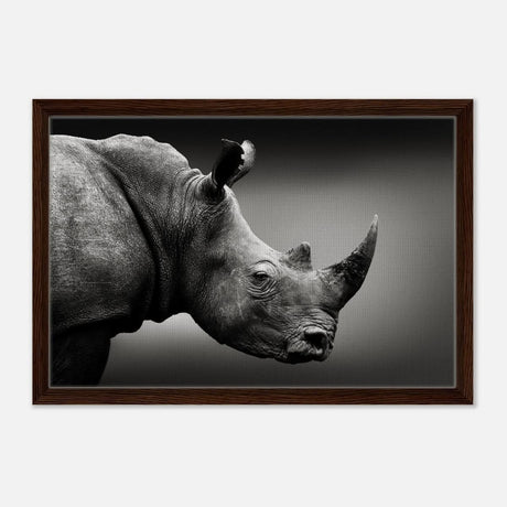 Animal Kingdom Wall art print collection | rhino - Framed Canvas - 40x60 cm / 16x24″ - Dark wood frame