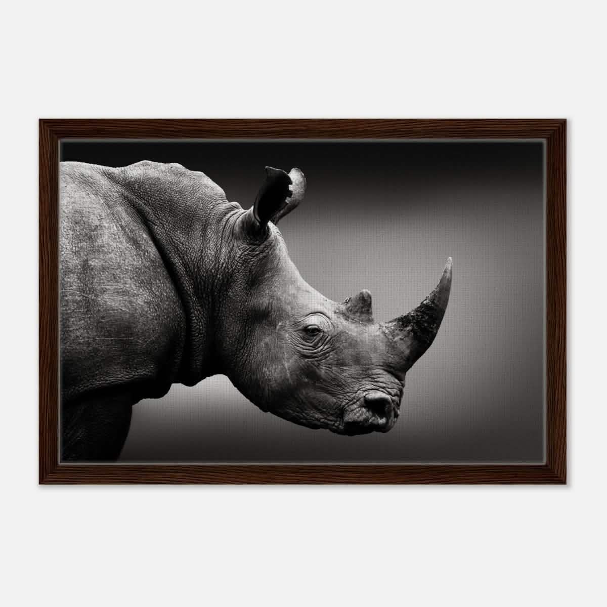 Animal Kingdom Wall art print collection | rhino - Framed Canvas - 40x60 cm / 16x24″ - Dark wood frame