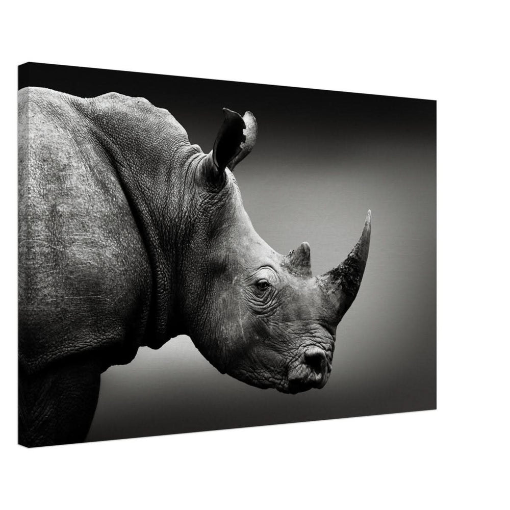 Animal Kingdom Wall art print collection | rhino - Canvas - 50x75 cm / 20x30″ -