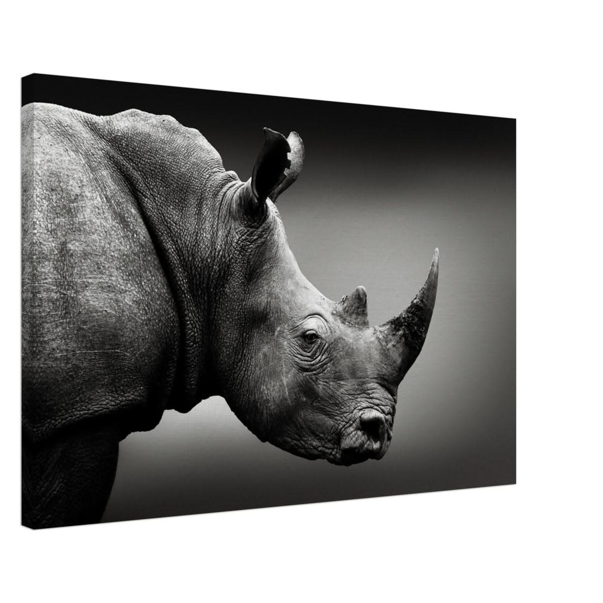Animal Kingdom Wall art print collection | rhino - Canvas - 50x75 cm / 20x30″ -