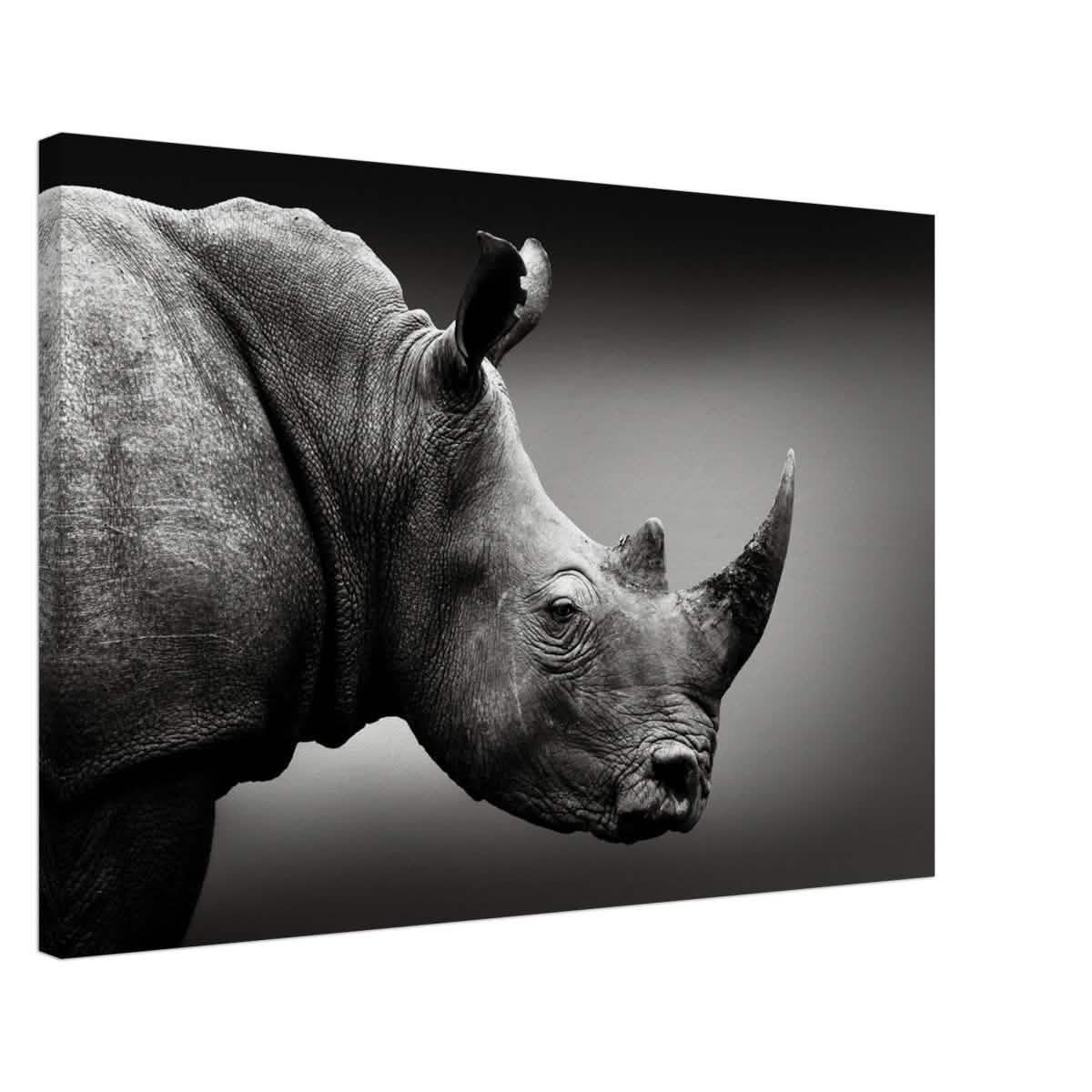 Animal Kingdom Wall art print collection | rhino - Canvas - 50x75 cm / 20x30″ -