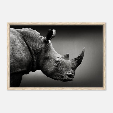 Animal Kingdom Wall art print collection | rhino - Framed Canvas - 60x90 cm / 24x36″ - Wood frame