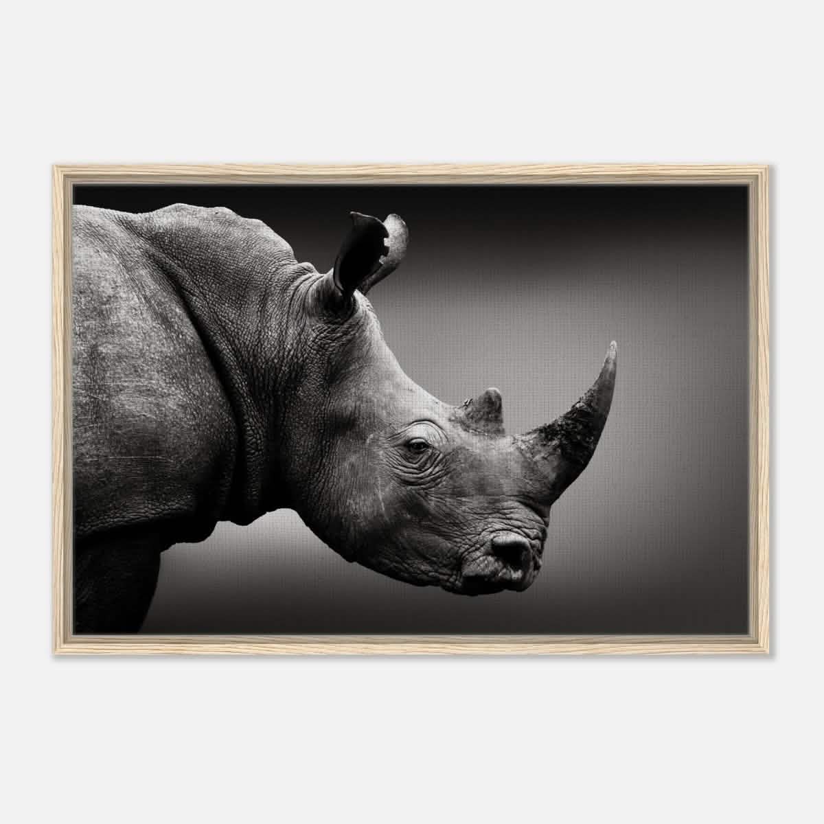Animal Kingdom Wall art print collection | rhino - Framed Canvas - 60x90 cm / 24x36″ - Wood frame