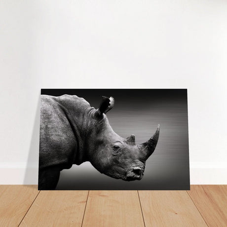 Animal Kingdom Wall art print collection | rhino - Brushed Aluminum Print - 30x45 cm / 12x18″ -
