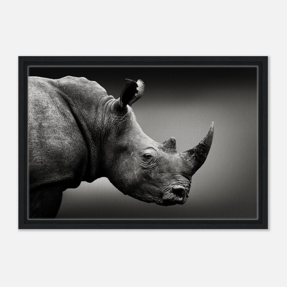 Animal Kingdom Wall art print collection | rhino - Framed Canvas - 40x60 cm / 16x24″ - Black frame