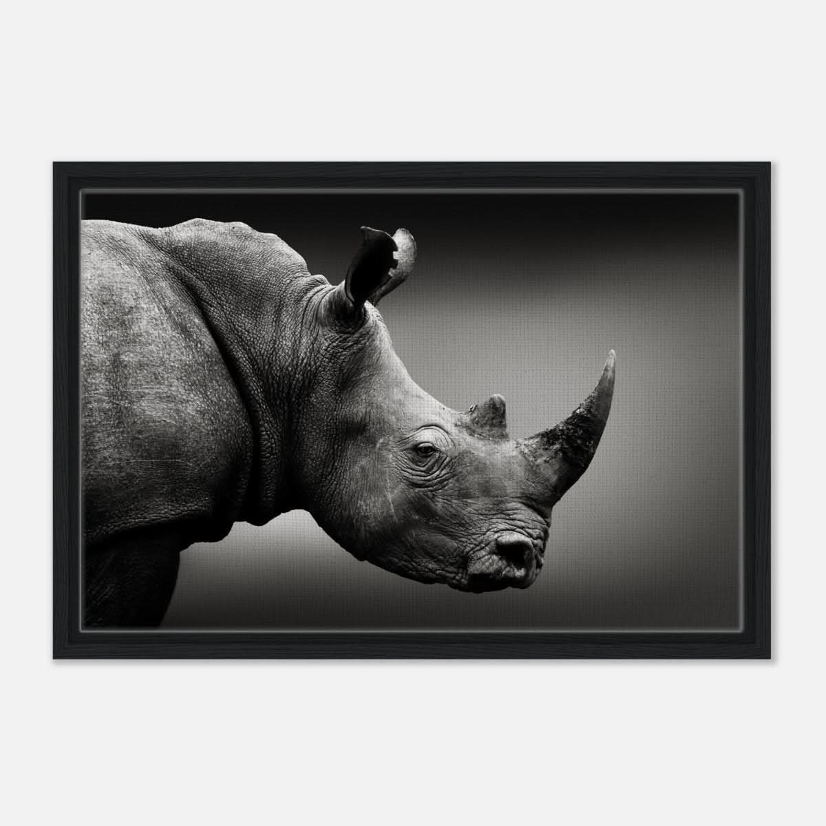 Animal Kingdom Wall art print collection | rhino - Framed Canvas - 40x60 cm / 16x24″ - Black frame