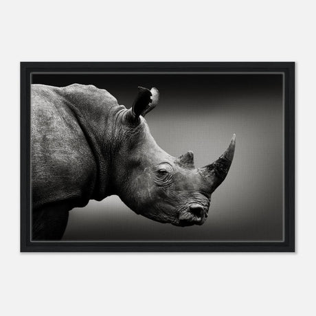 Animal Kingdom Wall art print collection | rhino - Framed Canvas - 40x60 cm / 16x24″ - Black frame