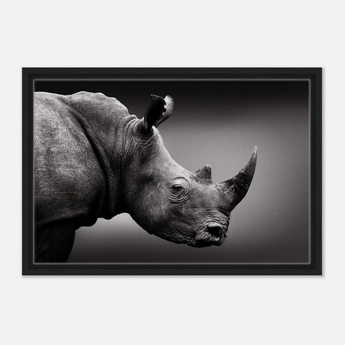 Animal Kingdom Wall art print collection | rhino - Framed Canvas - 40x60 cm / 16x24″ - Black frame
