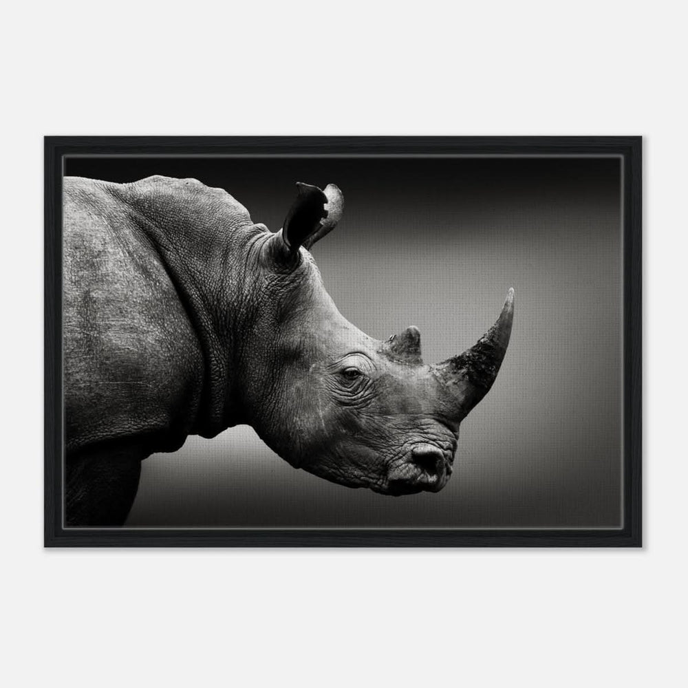 Animal Kingdom Wall art print collection | rhino - Framed Canvas - 50x75 cm / 20x30″ - Black frame