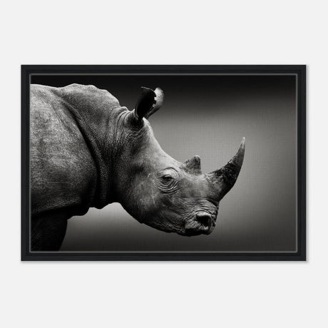 Animal Kingdom Wall art print collection | rhino - Framed Canvas - 50x75 cm / 20x30″ - Black frame