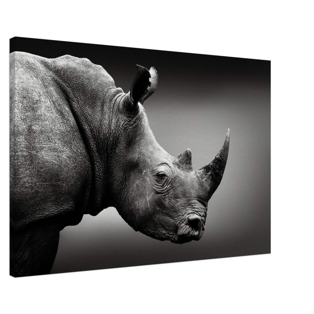 Animal Kingdom Wall art print collection | rhino - Canvas - 60x90 cm / 24x36″ -
