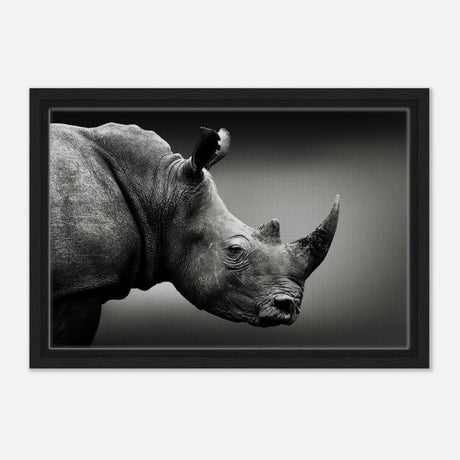 Animal Kingdom Wall art print collection | rhino - Framed Canvas - 30x45 cm / 12x18″ - Black frame