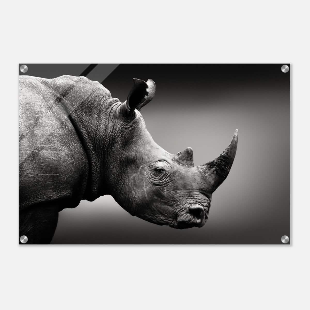 Animal Kingdom Wall art print collection | rhino - Acrylic Print - 50x75 cm / 20x30″ -