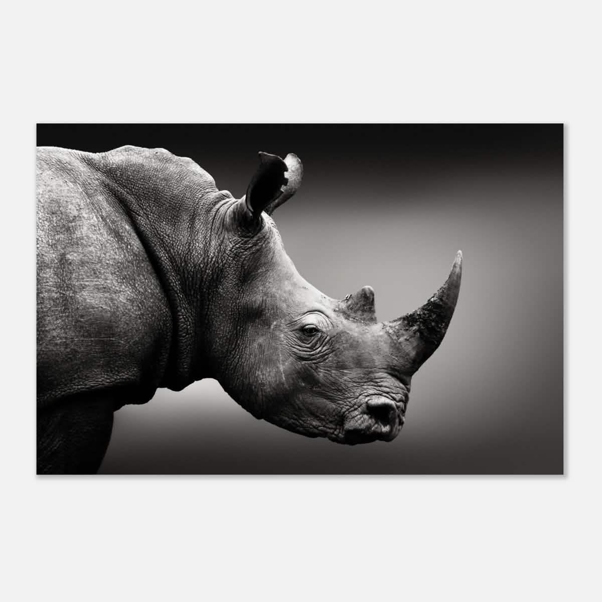 Animal Kingdom Wall art print collection | rhino - Aluminum Print - 50x75 cm / 20x30″ -