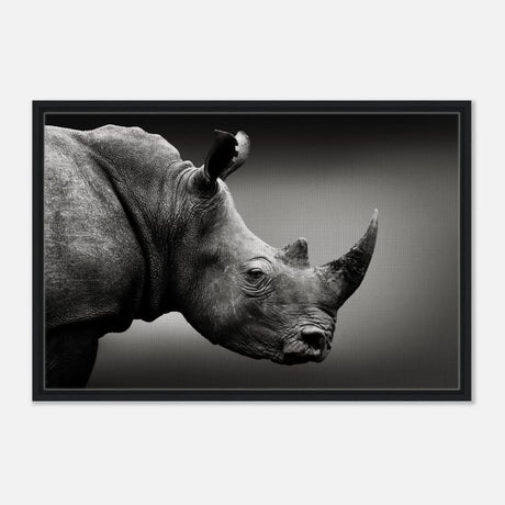 Animal Kingdom Wall art print collection | rhino - Framed Canvas - 60x90 cm / 24x36″ - Black frame