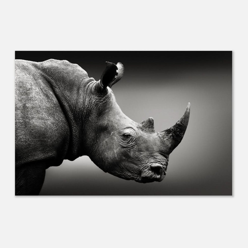 Animal Kingdom Wall art print collection | rhino - Aluminum Print - 40x60 cm / 16x24″ -