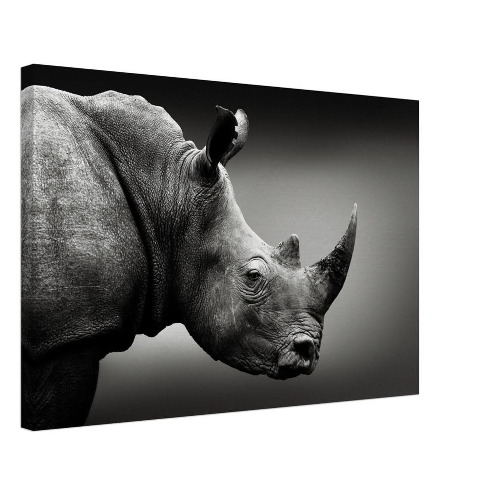 Animal Kingdom Wall art print collection | rhino - Canvas - 40x60 cm / 16x24″ -