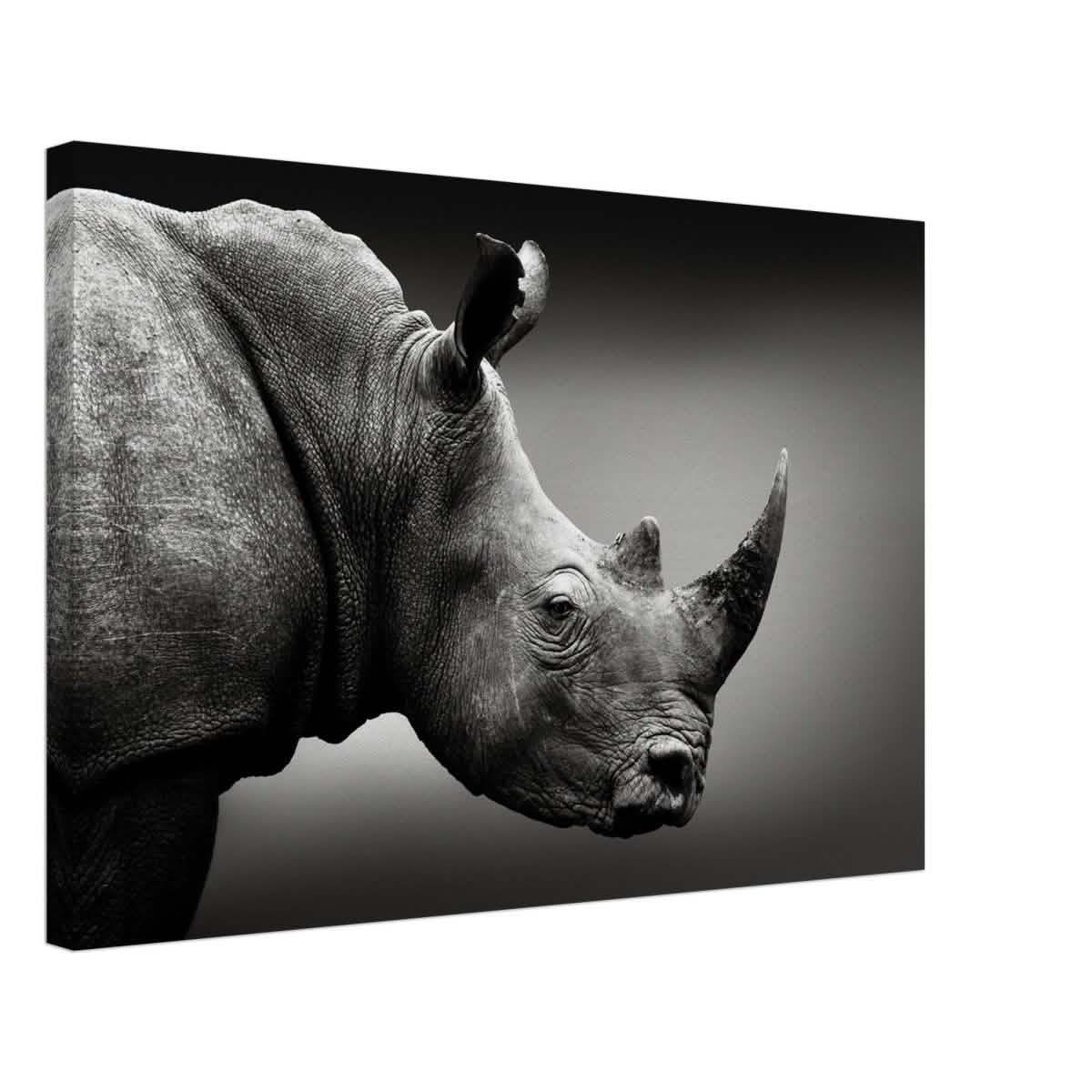Animal Kingdom Wall art print collection | rhino - Canvas - 40x60 cm / 16x24″ -