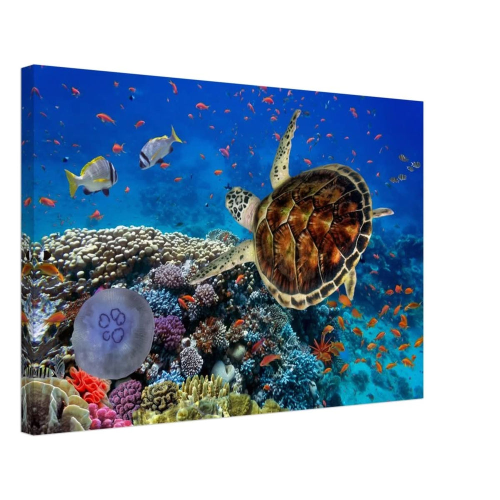 Animal Kingdom Wall art print collection | Sea turtle - Canvas - 40x60 cm / 16x24″ -