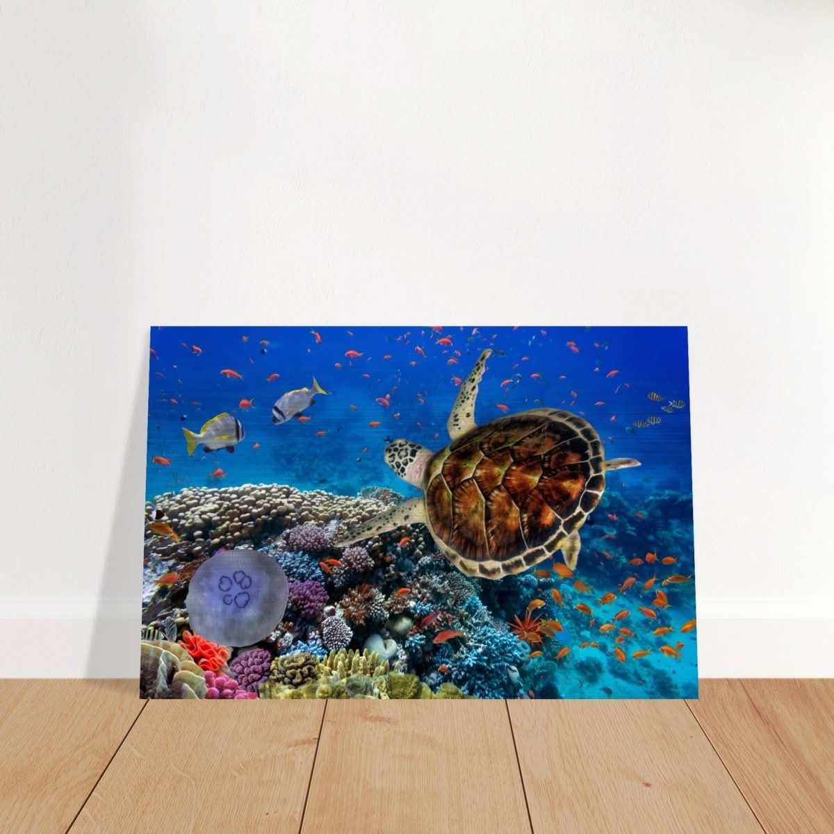 Animal Kingdom Wall art print collection | Sea turtle - Brushed Aluminum Print - 40x60 cm / 16x24″ -
