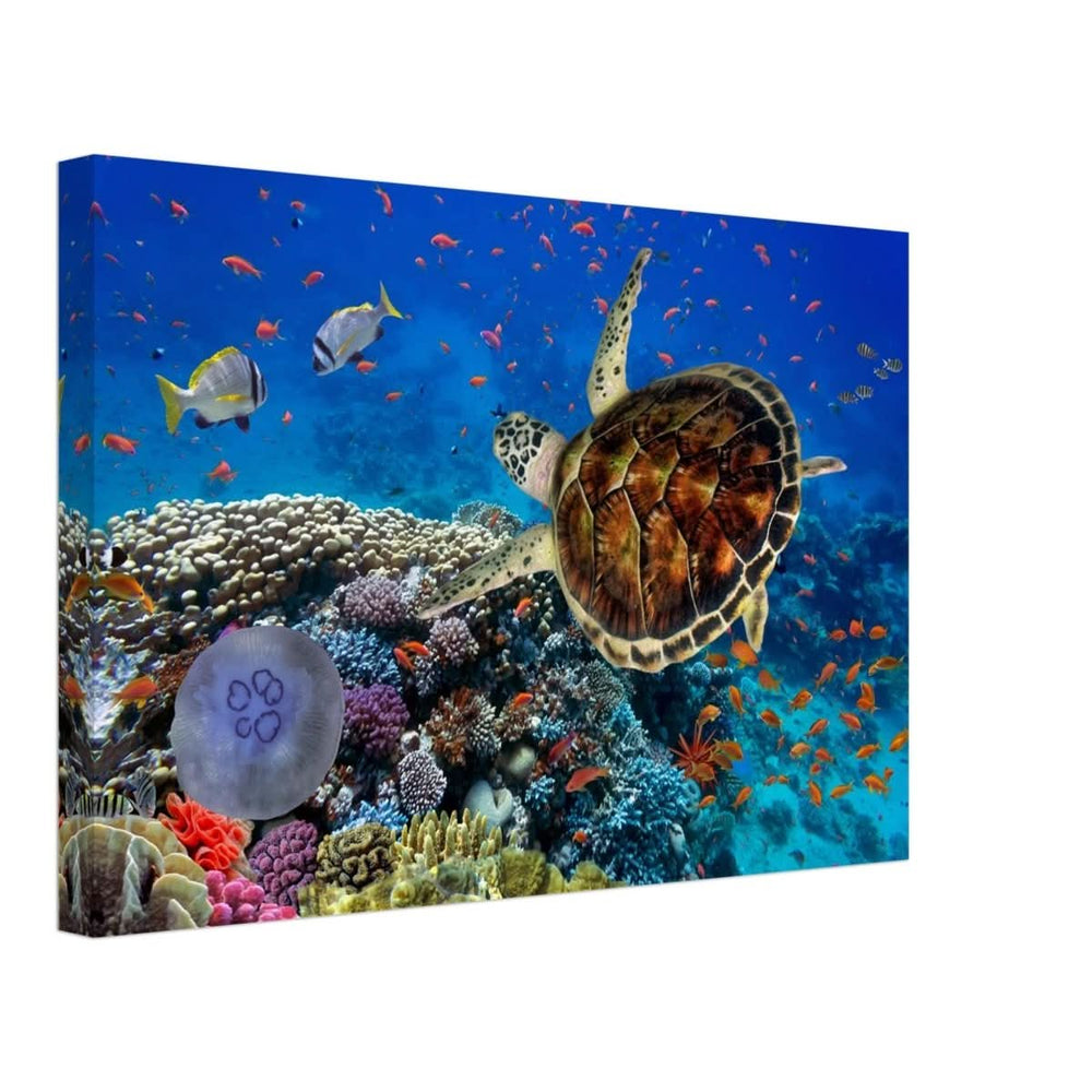 Animal Kingdom Wall art print collection | Sea turtle - Canvas - 30x45 cm / 12x18″ -