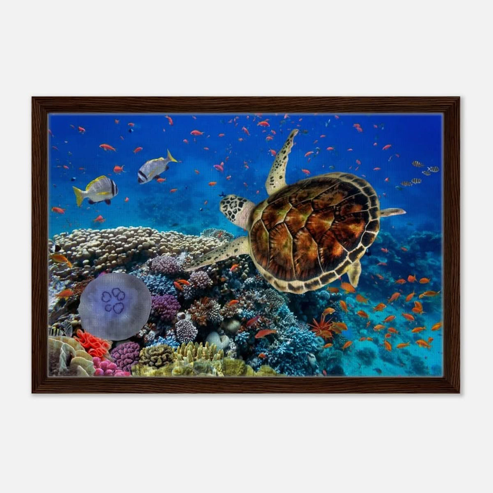 Animal Kingdom Wall art print collection | Sea turtle - Framed Canvas - 40x60 cm / 16x24″ - Dark wood frame