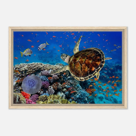 Animal Kingdom Wall art print collection | Sea turtle - Framed Canvas - 40x60 cm / 16x24″ - Wood frame
