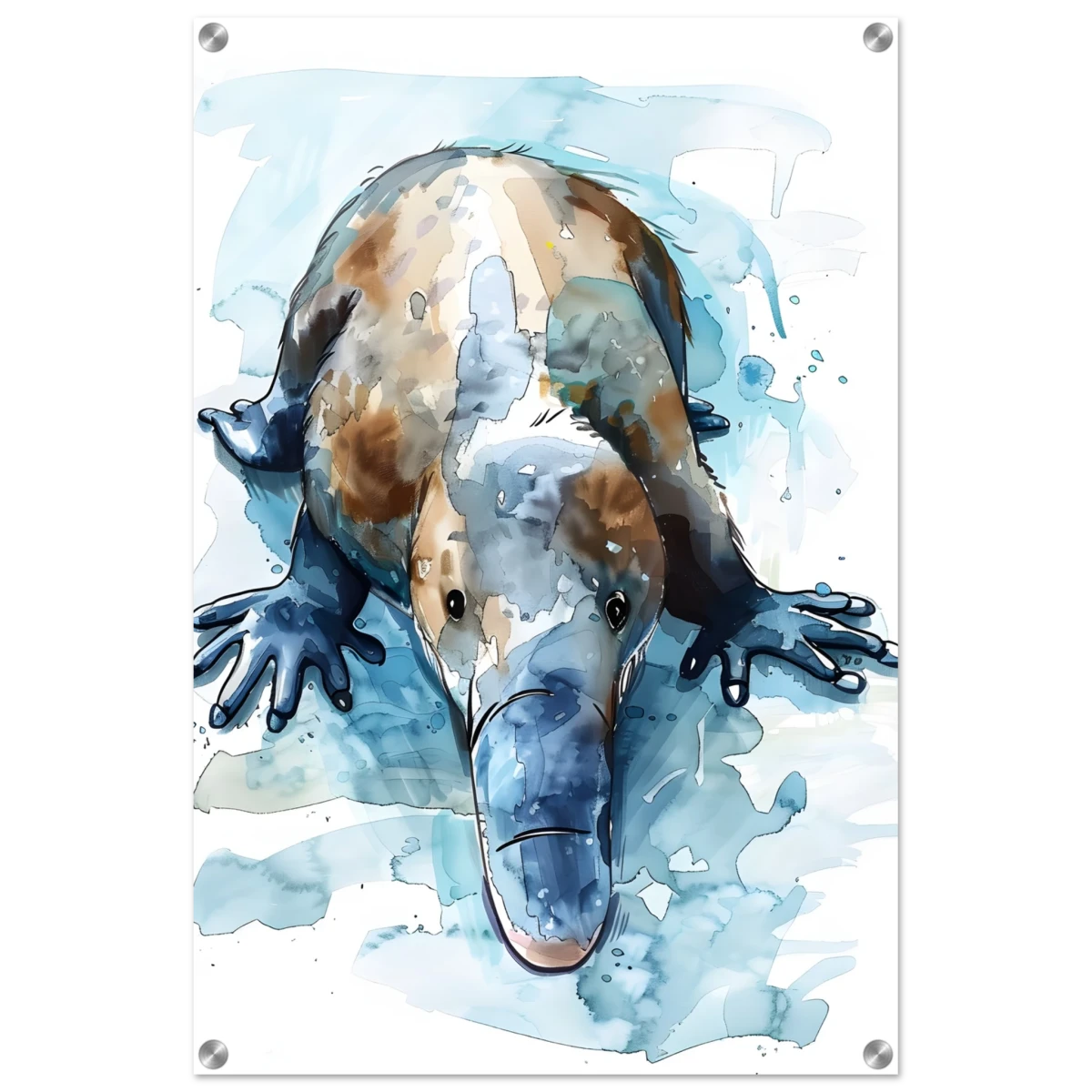 Aqua Explorer | Platypus | Modern watercolor - inspired animal art - 50x75 cm / 20x30″ - Acrylic Print -