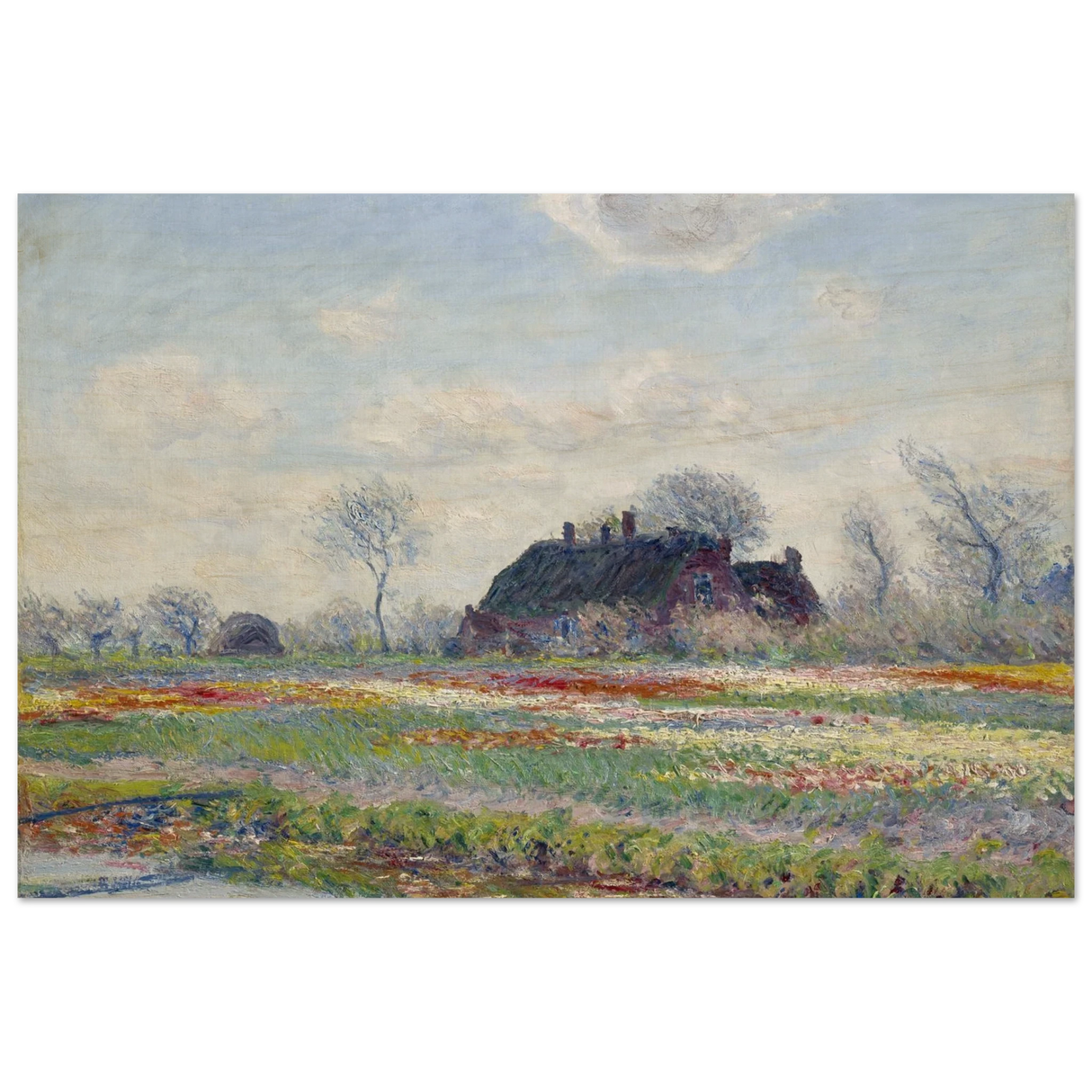 b73ba00a-25f2-4408-9055-d412e598354d