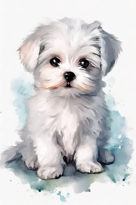 Charming Trio: Watercolor Maltese Puppy - Canvas - 30X45 CM / 12X18″ -