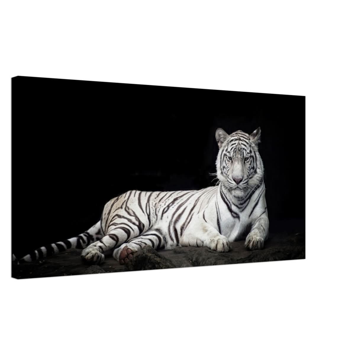 Copy of Da Vinci Animal Kingdom Wall art print collection | Tiger | Canvas print - Thick - 50x100 cm / 20x40″ -