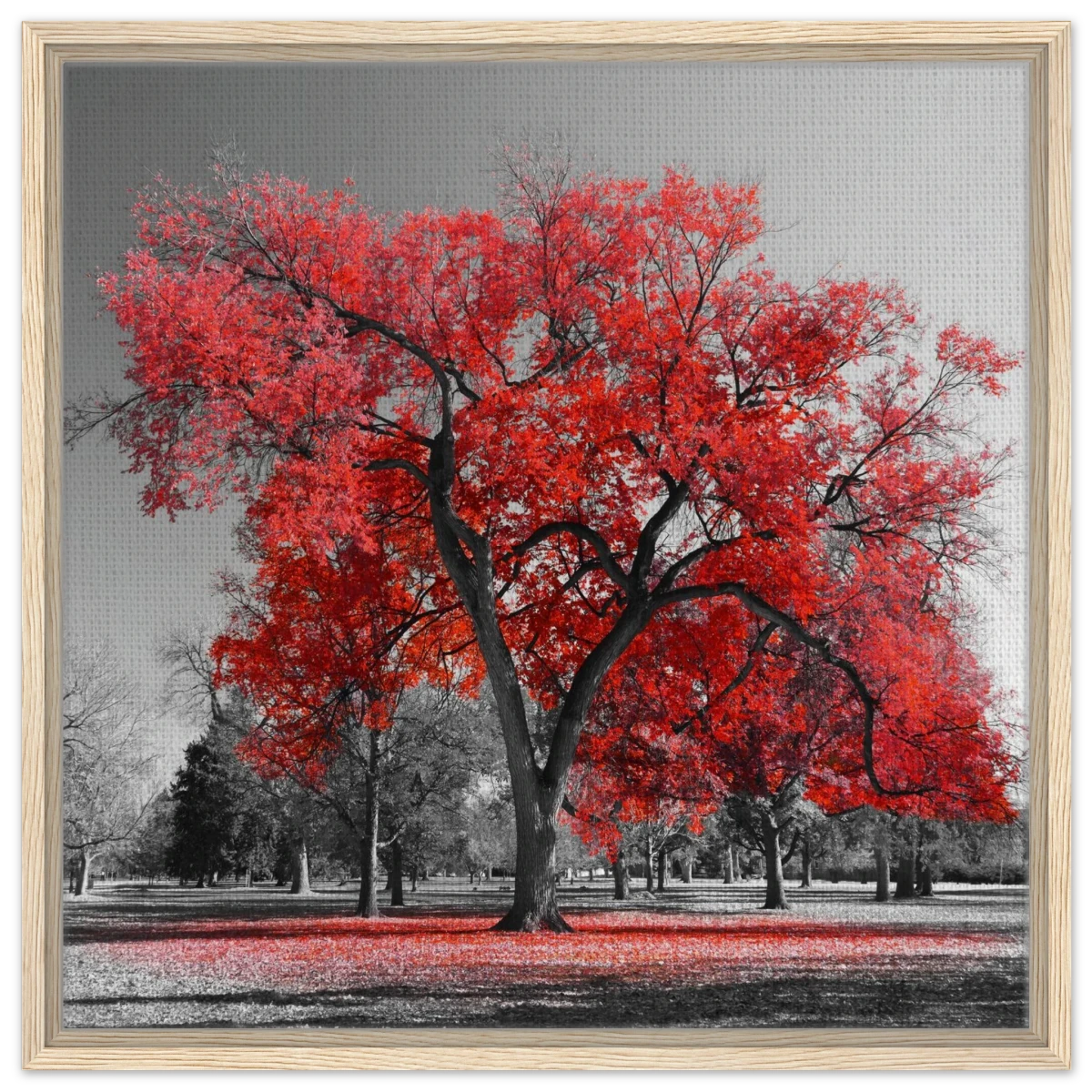 "Crimson Crown" – Monochrome Autumn Elegance | Wall Art Print - Framed Canvas - 60x60 cm / 24x24″ - Wood frame