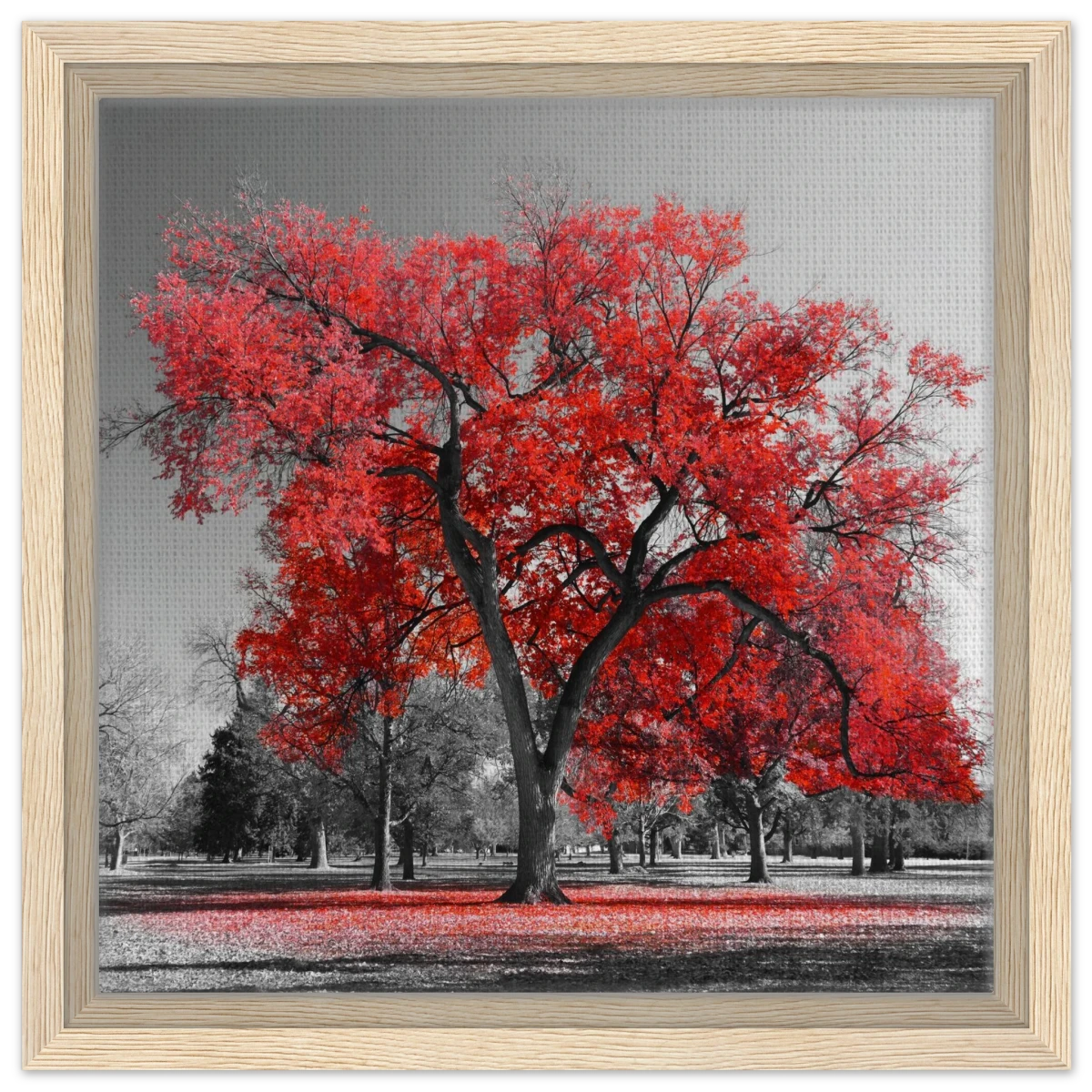 "Crimson Crown" – Monochrome Autumn Elegance | Wall Art Print - Framed Canvas - 30x30 cm / 12x12″ - Wood frame
